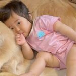 少しだけ洗面所に行ったら、赤ちゃんと犬たちが…カメラが捉えた『尊すぎる光景』が45万再生「めっちゃ優しくて素敵」「最高の家族」と反響(ブログ)