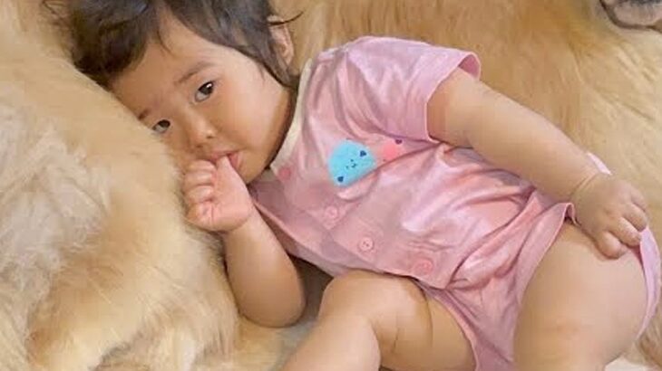 少しだけ洗面所に行ったら、赤ちゃんと犬たちが…カメラが捉えた『尊すぎる光景』が45万再生「めっちゃ優しくて素敵」「最高の家族」と反響(ブログ)