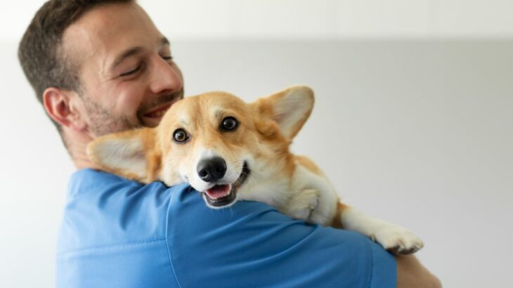 犬の正しい『抱き方』とは？愛犬を安心させるための上手な抱っこ方法までご紹介(ブログ)