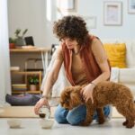 犬にごはんを与えるときの『絶対NG行為』5選　飼い主の誤った行動が愛犬へ与える健康被害とは(ブログ)
