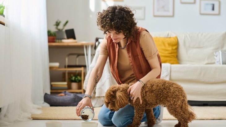 犬にごはんを与えるときの『絶対NG行為』5選　飼い主の誤った行動が愛犬へ与える健康被害とは(ブログ)
