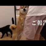 【ご報告】Qパパの手術に関して。本当にありがとうございました。(YouTube)