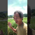 凄い凄い凄い！(YouTube)