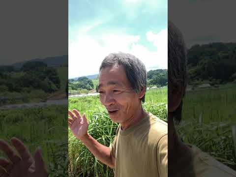 凄い凄い凄い！(YouTube)