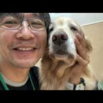 僕は老いた愛犬と共に(YouTube)