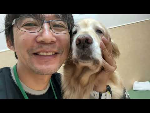 僕は老いた愛犬と共に(YouTube)