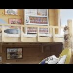 お茶目なひのきのことが気になって仕方がない猫(YouTube)