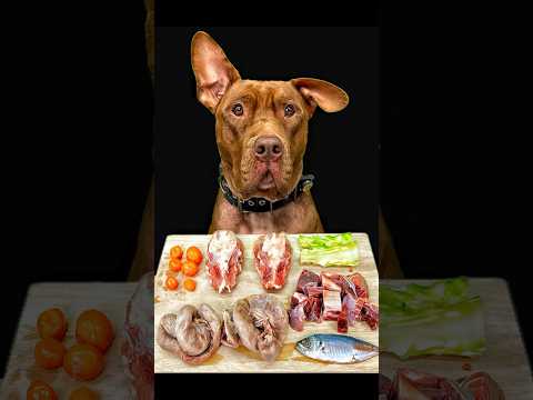 豪快に食べた後はしっかりまな板も綺麗に舐めるピットブル(YouTube)