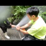 年イチの池掃除はこのくらい過酷です・・・(YouTube)
