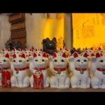 【猫神さま降臨!?】猫が集う神社が想像以上に尊すぎた件🐱✨(YouTube)