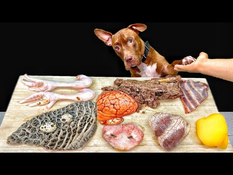 気持ちいい咀嚼音!ピットブルが骨付き肉を豪快に噛み砕くASMR(YouTube)