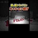 犬の起こし方にビビる飼い主w😂【腹ペコ犬】 #犬(YouTube)