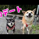 ジョン君がついにあの娘とデートするだと・・！？(YouTube)