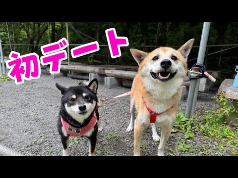 ジョン君がついにあの娘とデートするだと・・！？(YouTube)