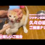 久々給餌でご機嫌ナナメなモグ  そして嬉しいご報告    2025 07 11 1(YouTube)