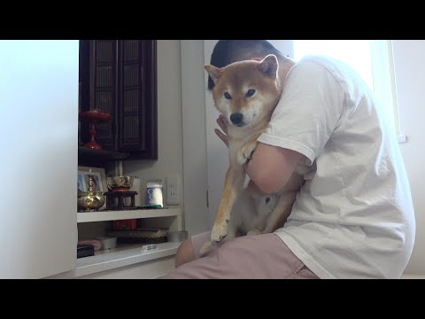 明日手術です、闘ってきます。(YouTube)