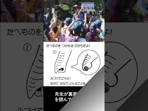 学校の先生必見！上野動物園では、学校向けに教材の貸し出しを行っています！ #教育 #幼稚園 #保育園 #小学校 #教員 #遠足 #上野動物園 #uenozoo(YouTube)