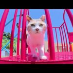 猛暑の中、パステルカラーの三毛猫がすべり台で遊ぶ(YouTube)