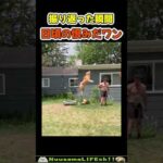 飼い主に日頃の恨みを晴らす犬😂【トランポリン犬】 #犬(YouTube)
