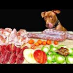 犬の咀嚼音!豪快に食べた後はしっかり運動するピットブル(YouTube)