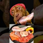 骨付き肉を豪快にたべるピットブルがかわいすぎる#shorts(YouTube)