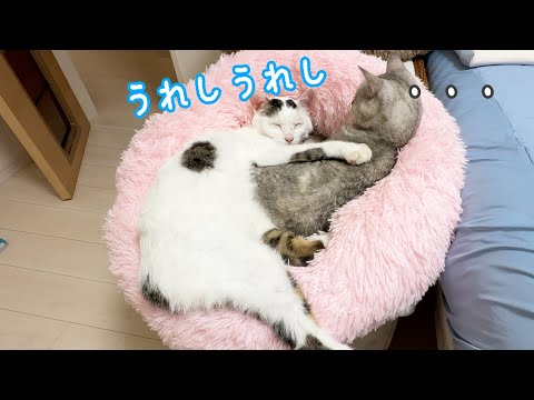 寒くないのに仲良しなマロチロ！！(YouTube)