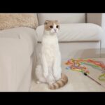 猫が初めてジュラシックワールドを見たらびっくりしてこうなっちゃいましたwww(YouTube)