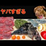 閲覧注意!!エミューの頭をボリボリ食べる咀嚼音がサイコーすぎる(YouTube)