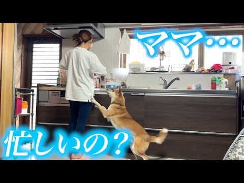 忙しいあいるんに労いのプレゼント(YouTube)
