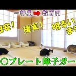 猫が障子を破るのを防ぐ激安で効果的な対策を考えました🐈【誰でも出来るDIY○○プレート障子ガード制作】(YouTube)