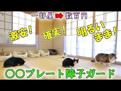 猫が障子を破るのを防ぐ激安で効果的な対策を考えました🐈【誰でも出来るDIY○○プレート障子ガード制作】(YouTube)