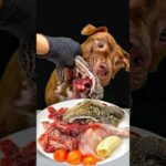 骨付き肉を豪快に噛み砕くピットブル(YouTube)