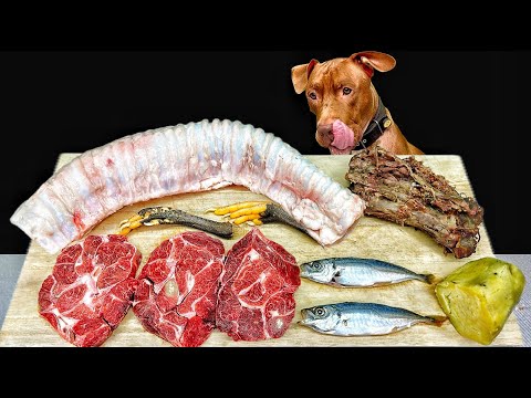 犬の咀嚼音!!巨大な食材を一生懸命噛み砕く音がクセになる(YouTube)