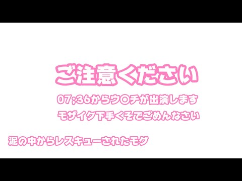 ご注意ください  07;36からウ〇チが出演します  モザイク処理下手くそでごめんなさい  泥の中からレスキューされたモグ   2025 07 30 2(YouTube)