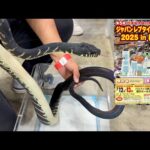 【激ヤバ生体祭り】横浜で開催された爬虫類イベントに遊びに行ってみると…(YouTube)