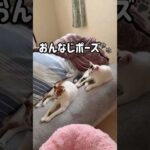 仲良く一緒に行動してる男子チームチロトロ！ #shorts(YouTube)