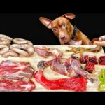 犬のASMR!生肉や骨を食べる咀嚼音がクセになる(YouTube)