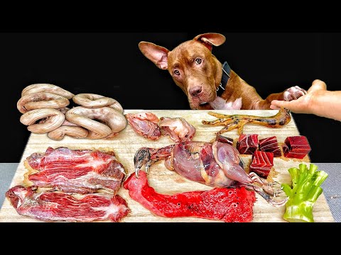 犬のASMR!生肉や骨を食べる咀嚼音がクセになる(YouTube)