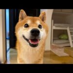 海の日ライブ配信、そしてお知らせ📢7月21日(YouTube)