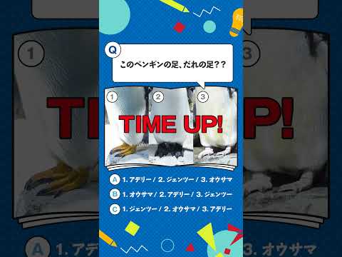 【海遊館】生きものクイズ！～ペンギンの足編～(YouTube)