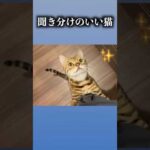 聞き分けの良いネコ　#ルトロゼ #cat #ベンガル(YouTube)