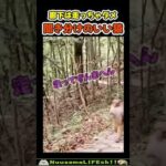 聞き分けが良過ぎる猿😂【おもしろ動物】 #funny #funny(YouTube)