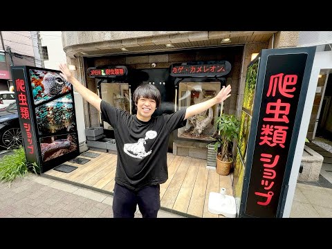 秋葉原にある爬虫類ショップに行ってきました！(YouTube)