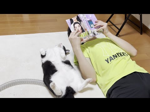息子と一緒に漫画を読む猫(YouTube)