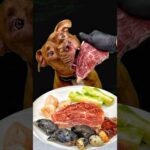 お肉屋さんからもらった肉を豪快に食べるピットブル(YouTube)
