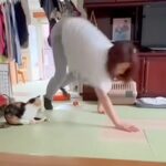 何気なく家の中のカメラを見てみたら、母親が犬と…衝撃的すぎる『まさかの奇行』が1900万再生「フォーム綺麗で草」「猫ドン引きしてるｗｗ」(ブログ)