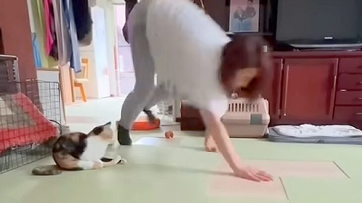 何気なく家の中のカメラを見てみたら、母親が犬と…衝撃的すぎる『まさかの奇行』が1900万再生「フォーム綺麗で草」「猫ドン引きしてるｗｗ」(ブログ)