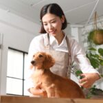犬のトリマーや獣医師の年収っていくらぐらい？主な仕事内容から必要な資格まで解説(ブログ)