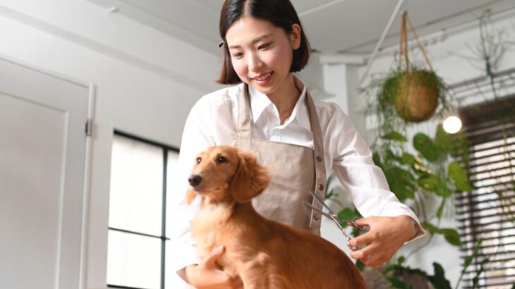 犬のトリマーや獣医師の年収っていくらぐらい？主な仕事内容から必要な資格まで解説(ブログ)