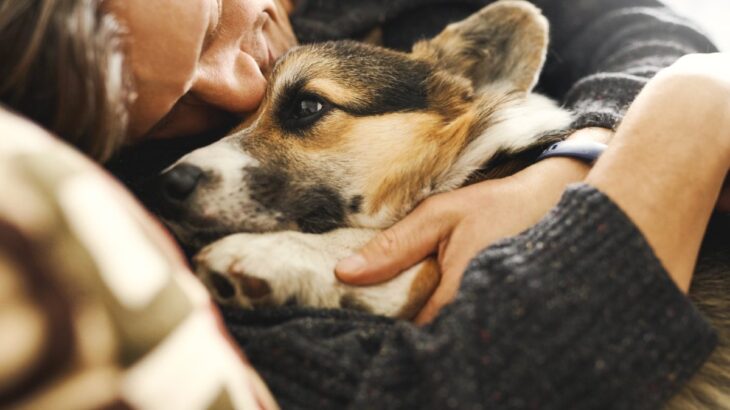犬を『過保護』に育てすぎると起こる危険なこと5選　信頼関係が崩壊することも…(ブログ)